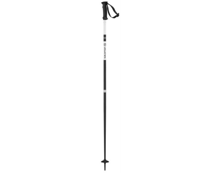 Salomon Poles X North 125 cm